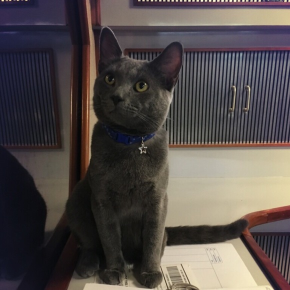 Meet your Posher, Carina - Picture 1 of 2